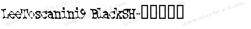 LeeToscanini9 BlackSH字体转换